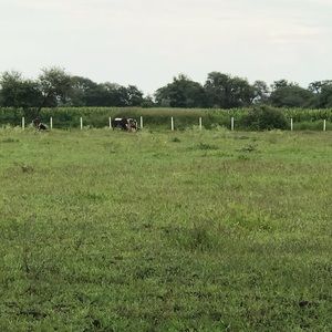 Meet your Posher, Dani